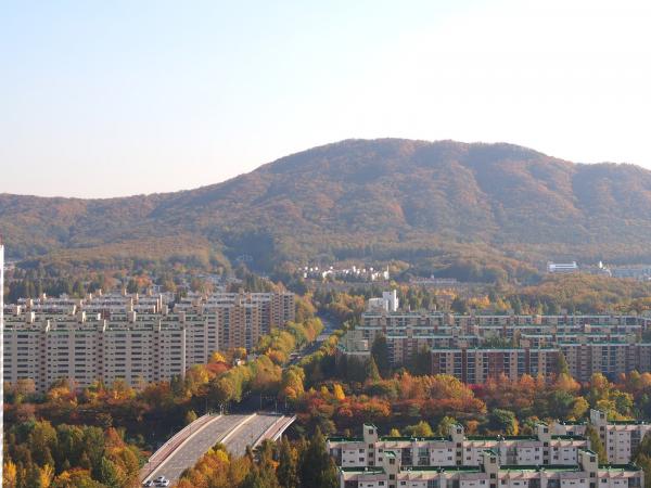 구룡산