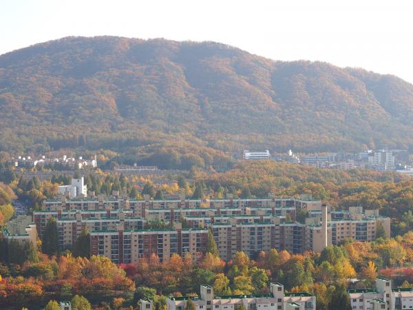구룡산