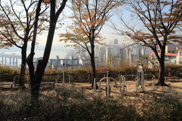 달맞이봉