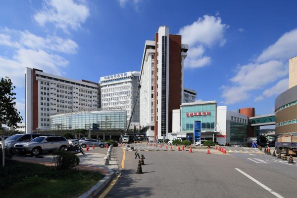 서울대병원