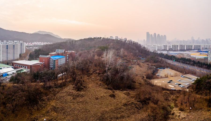 대모산