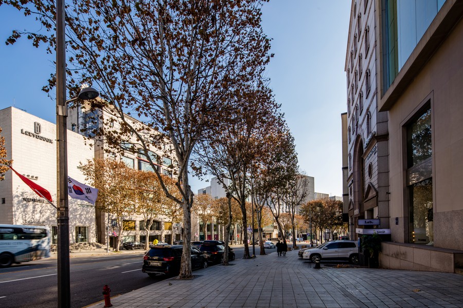 청담동패션거리