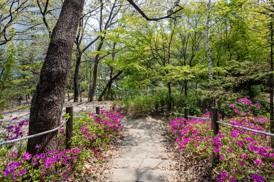 오동근린공원