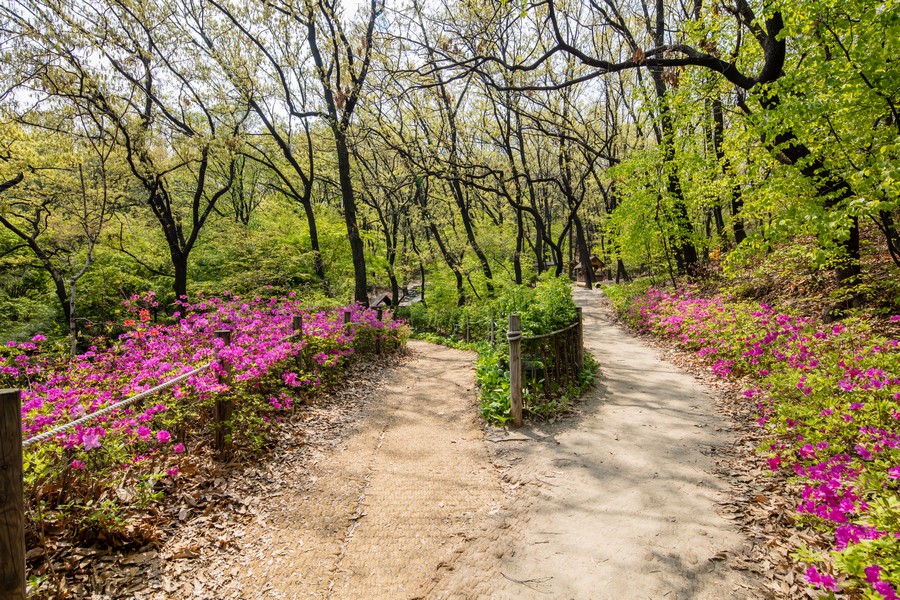 오동근린공원