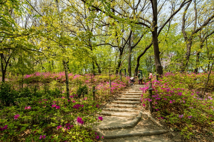 오동근린공원