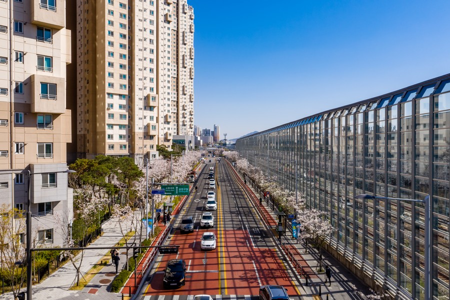 벚꽃로