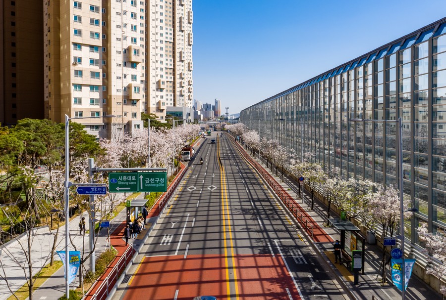벚꽃로