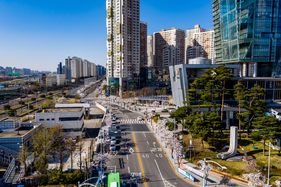 벚꽃로