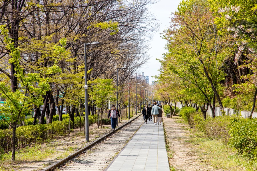 경춘선숲길