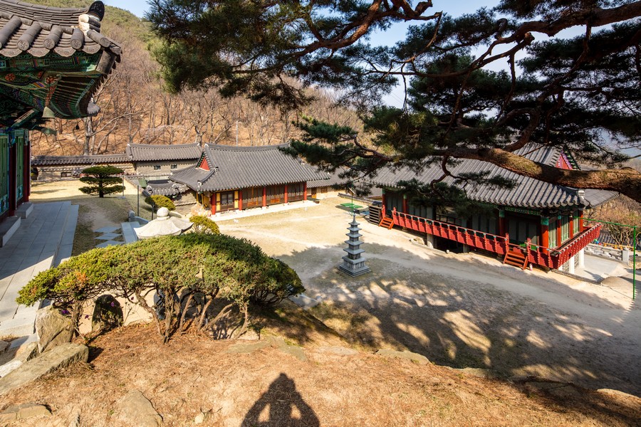 학림사