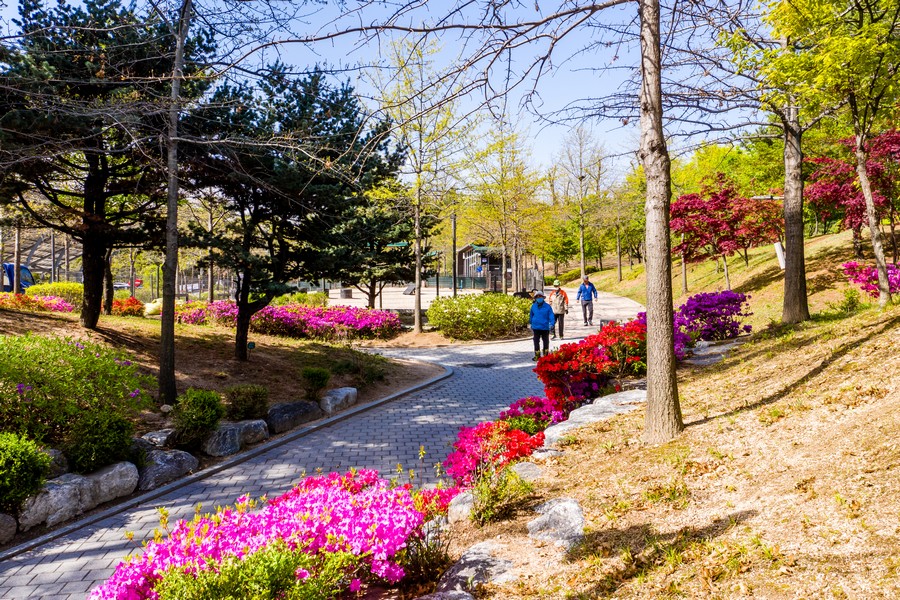 초안산근린공원