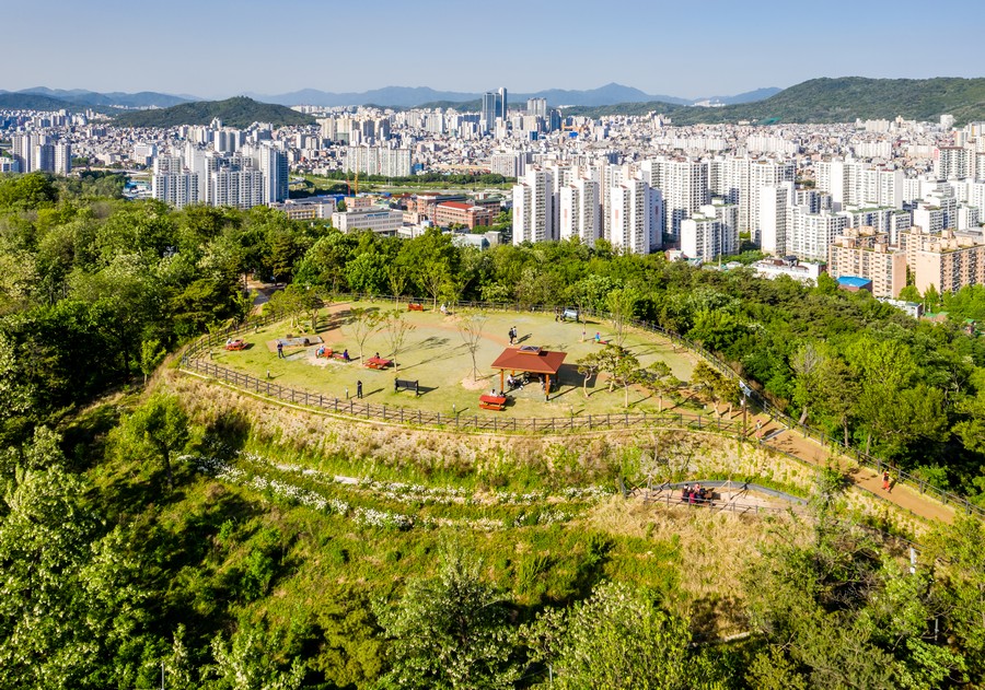 배봉산