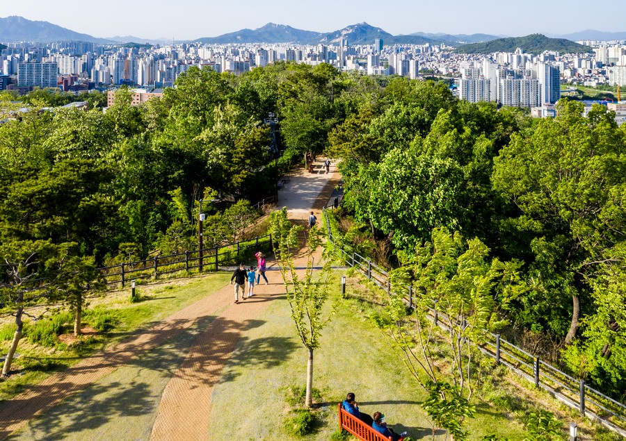 배봉산