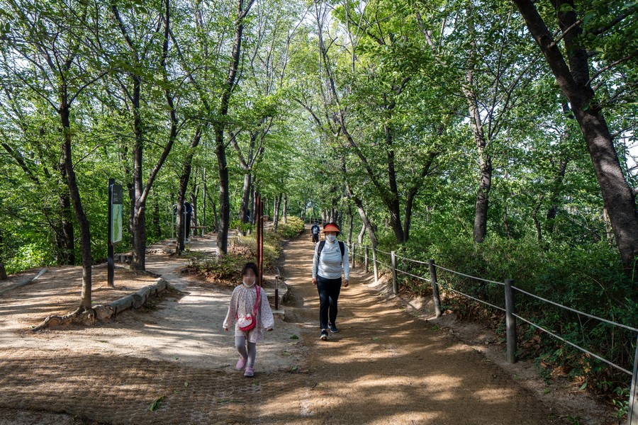 배봉산