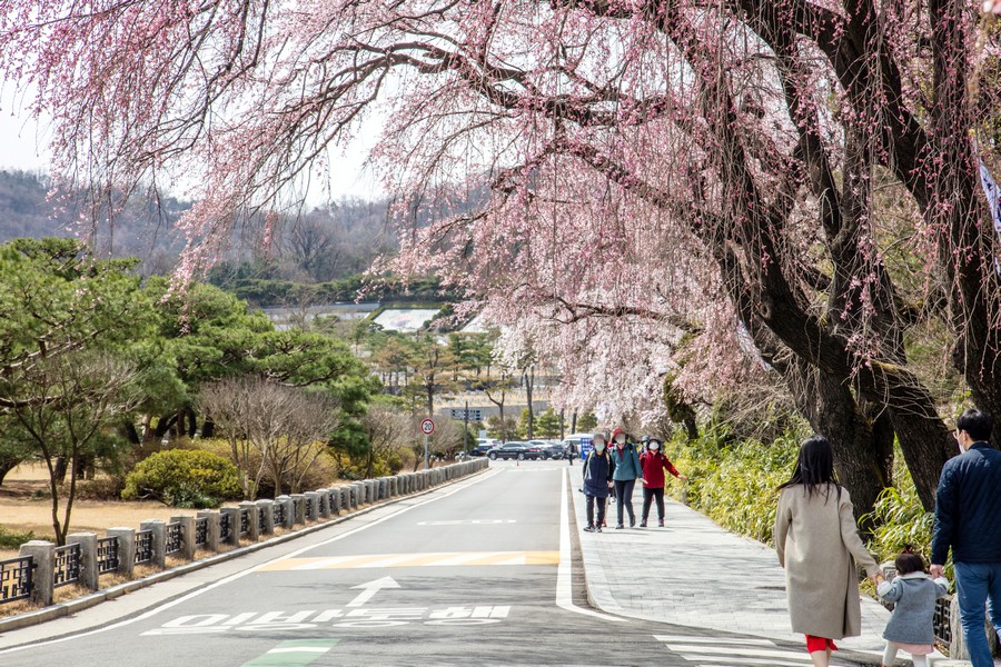 국립현충원