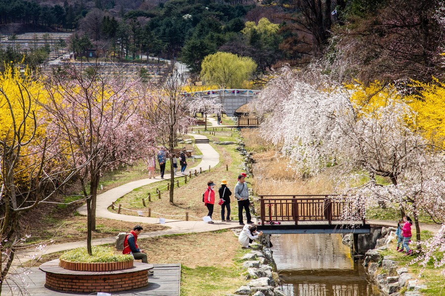 국립현충원