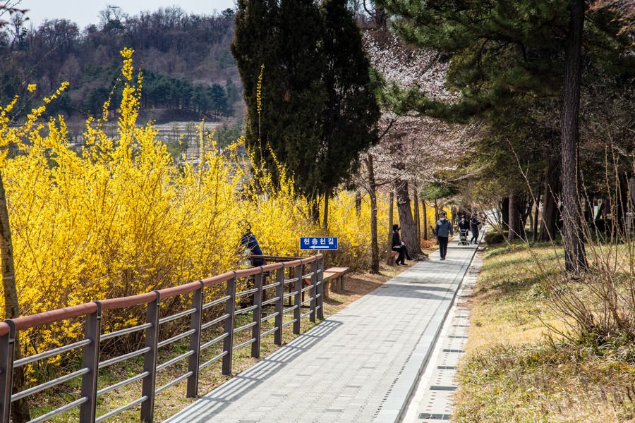 국립현충원
