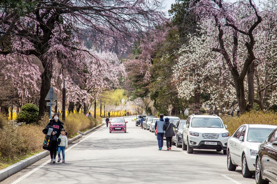 국립현충원