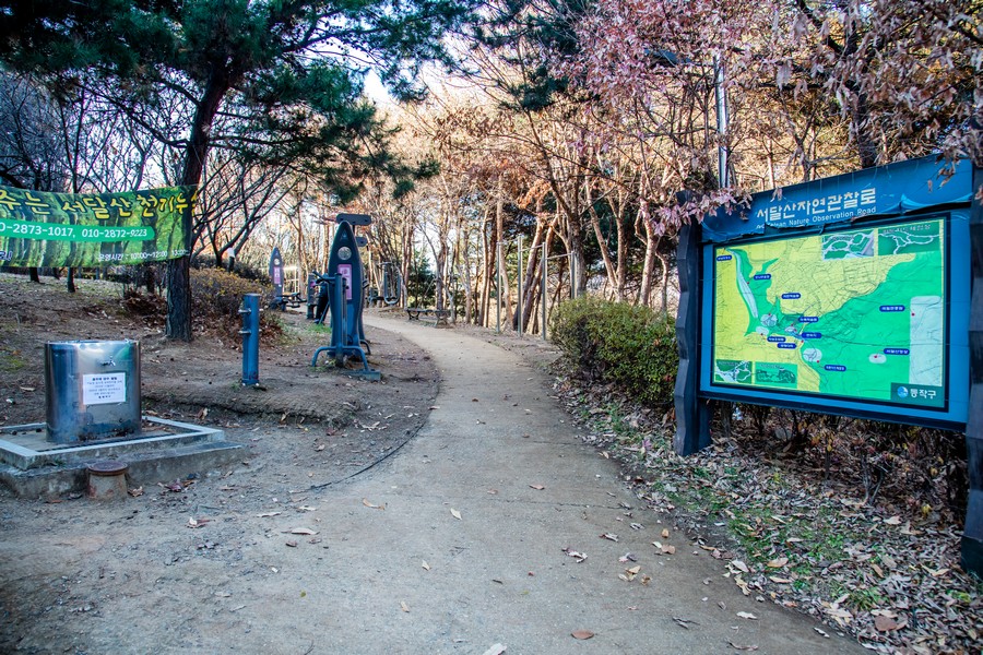 서달산