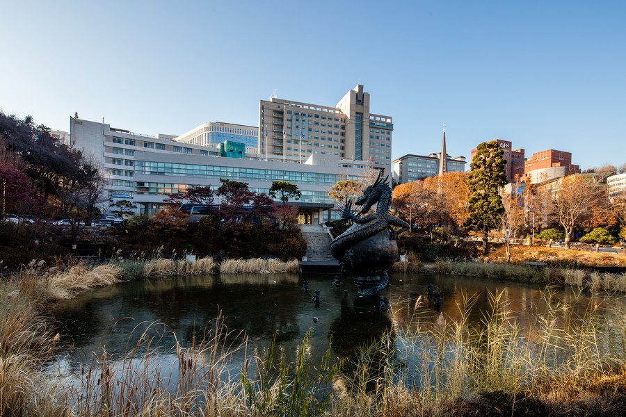 중앙대학교