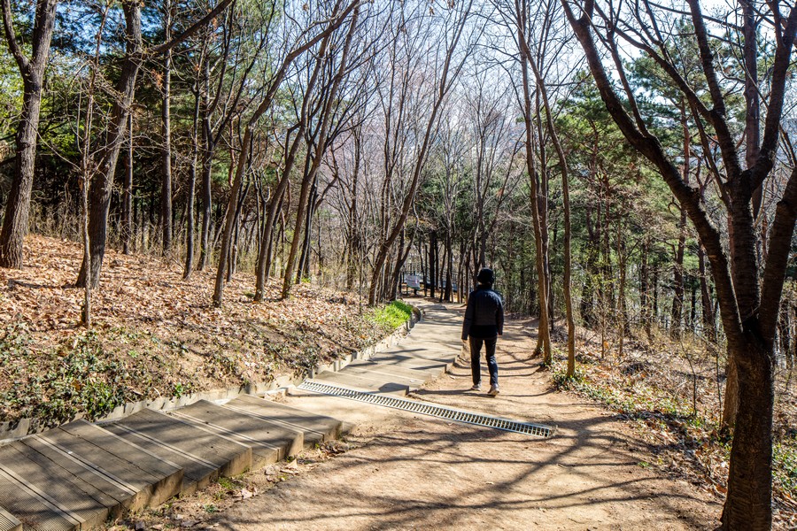 매봉산자락길