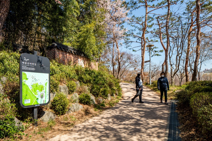매봉산자락길