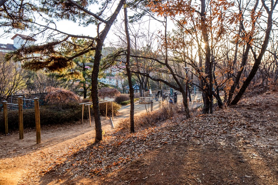 백련근린공원(백련산)