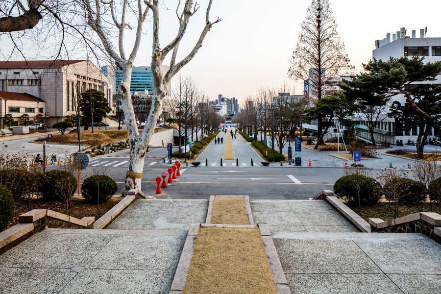 연세대학교