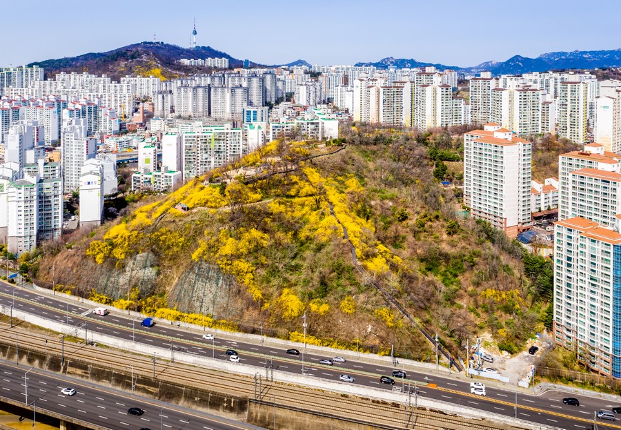 달맞이봉 공원
