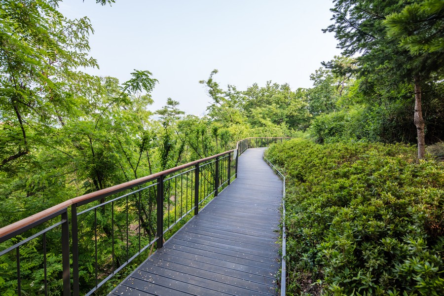 달맞이봉 공원