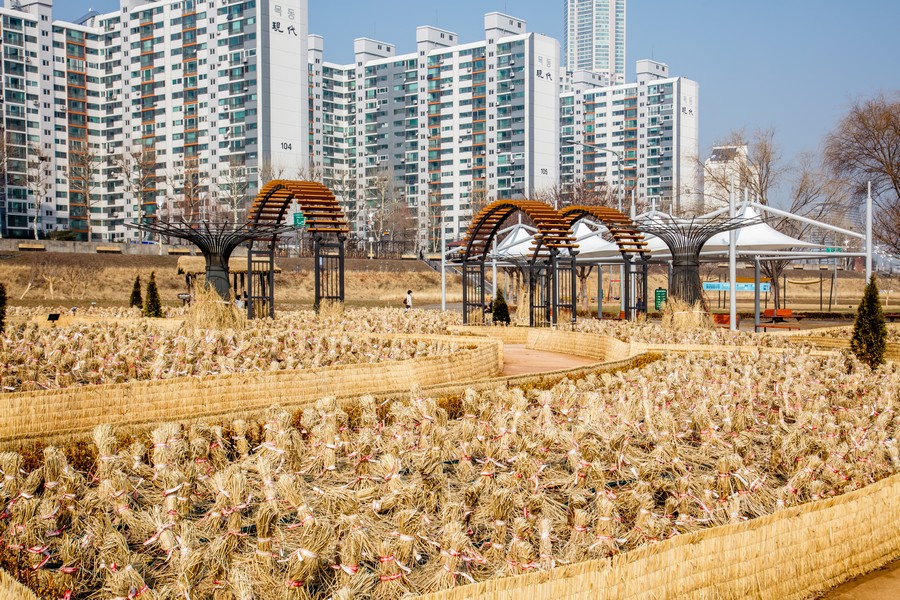 안양천생태공원
