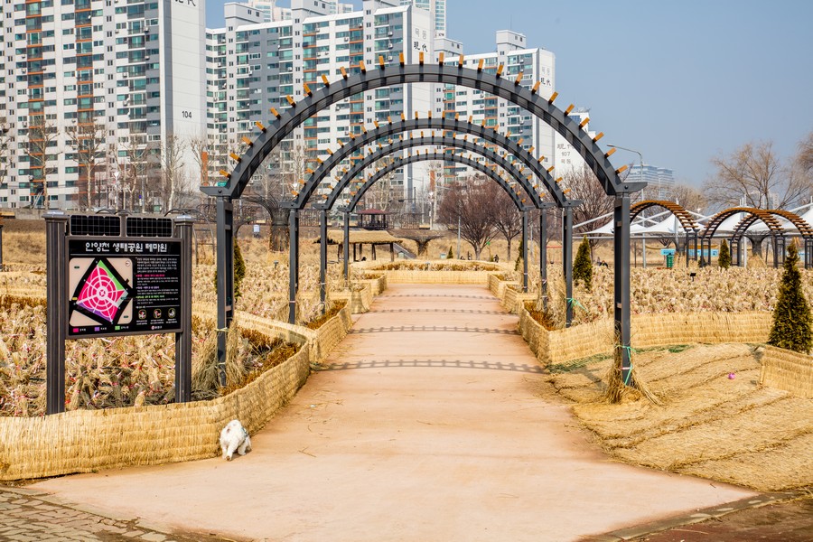 안양천생태공원