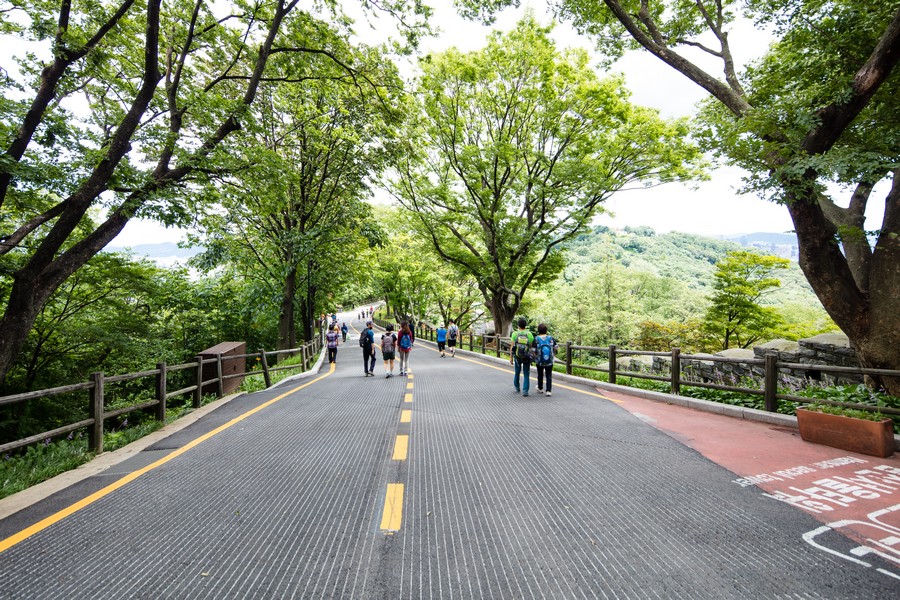 남산공원
