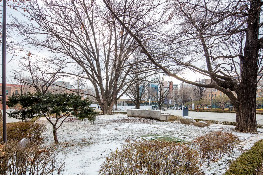 마로니에공원