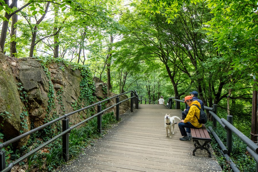 매봉산공원