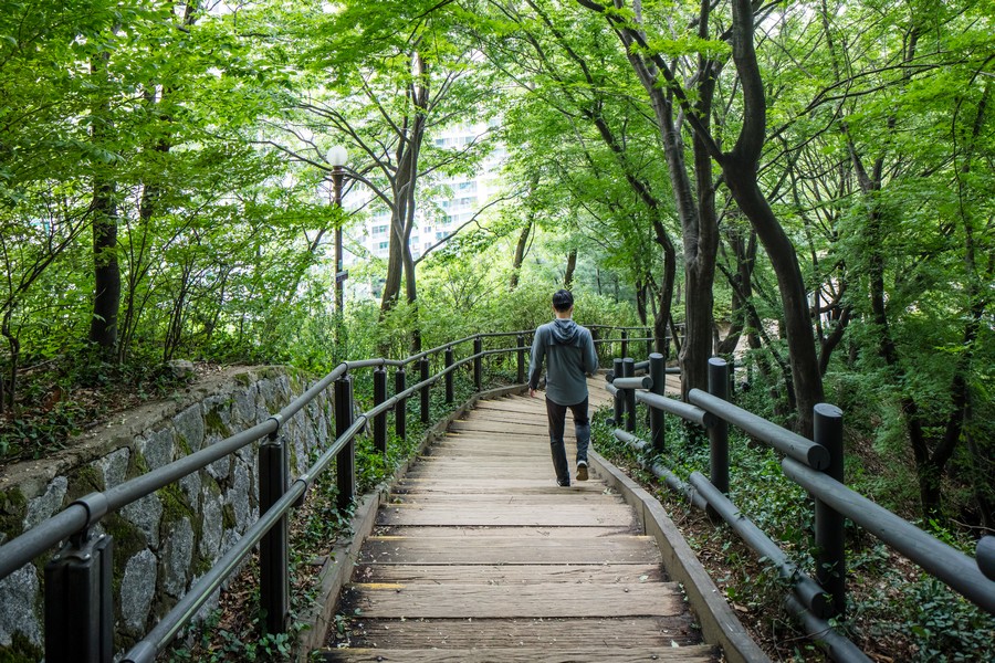 매봉산공원