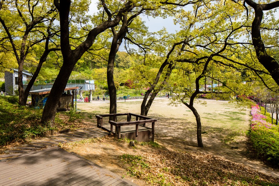 중랑캠핑숲